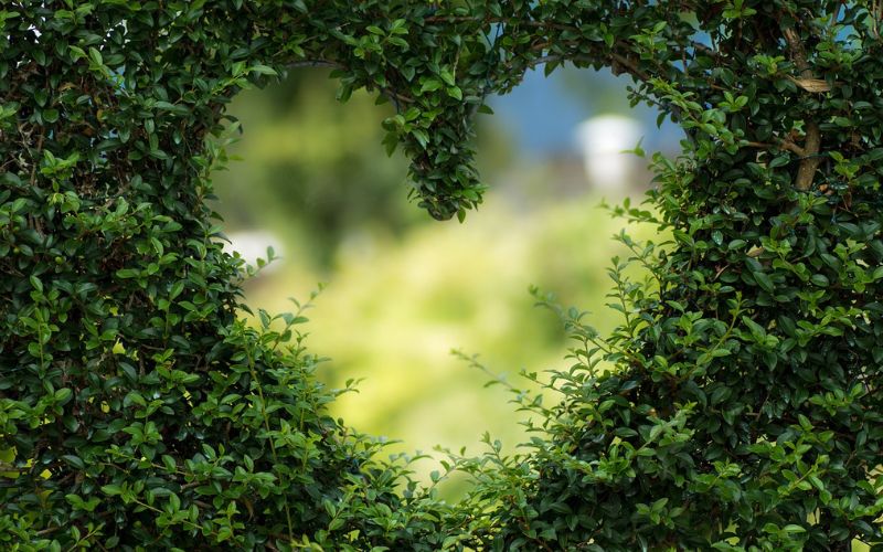 Eco-friendly garden heart