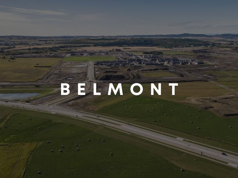 the community of belmont