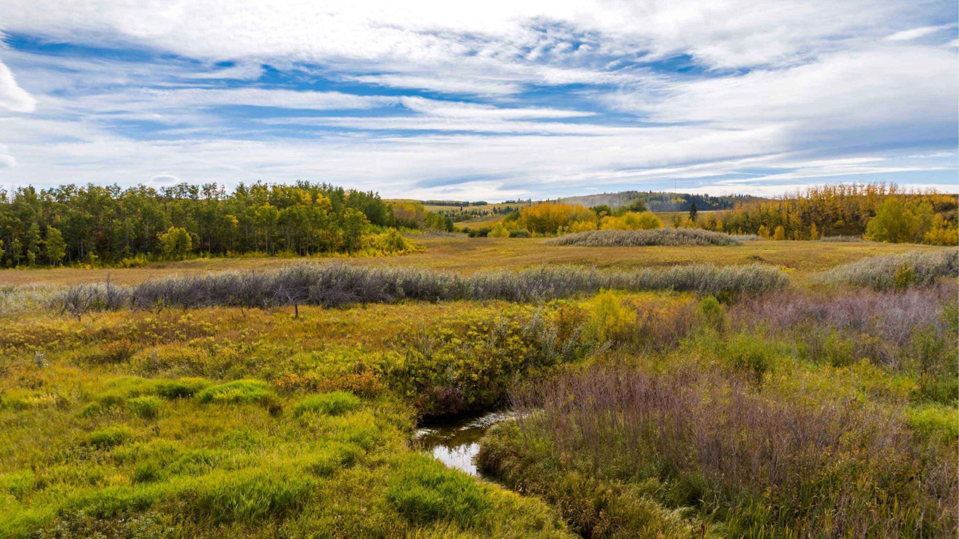 creekview calgary